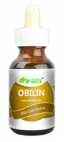 Dr.Shiffa Obilin Damla